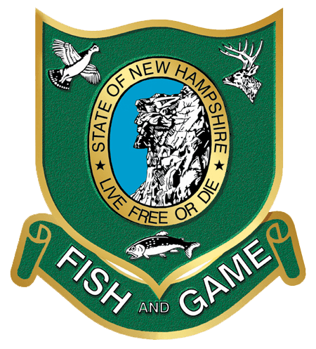 E77ab8768738b034c989359cad3d894fbac15f1f