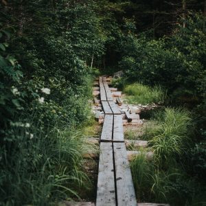 Share_01